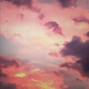 Meet your Posher, Polly